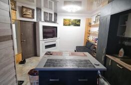 Apartament 2 camere, 45mp + gradina, preluare chiriasi, zona Valea Adanca