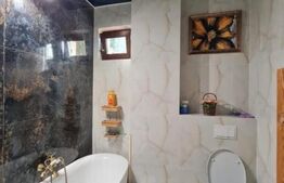 Apartament 2 camere, 45mp + gradina, preluare chiriasi, zona Valea Adanca