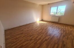 Vila 4 camere 180 mp, 450 mp teren, Lunca Cetatuii