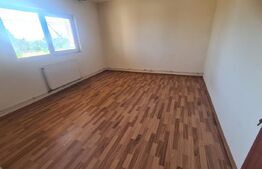 Vila 4 camere 180 mp, 450 mp teren, Lunca Cetatuii