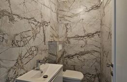 Penthouse, 140MP, zona Valea Lupului