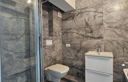 Penthouse, 140MP, zona Valea Lupului