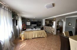 Casa mare, 200mp, 1000mp teren, Zona Hlincea Iasi