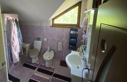 Casa mare, 200mp, 1000mp teren, Zona Hlincea Iasi