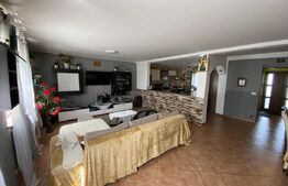 Casa mare, 200mp, 1000mp teren, Zona Hlincea Iasi