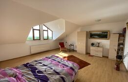 Casa individuala superba, 300mp utili, 1000mp teren, Bucium Iasi