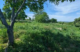 Teren 632 mp intravilan, zona Barnova