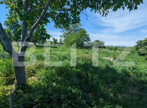 Teren de vânzare Exterior Est - 139646TV | BLITZ Iași | Poza1