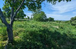 Teren  intravilan, 885 mp, zona Todirel 