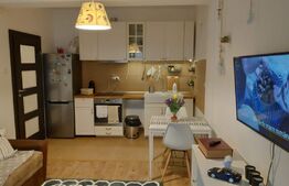 Apartament de 2 camere, 50 mp, zona Lunca Cetatuii - Visoianu