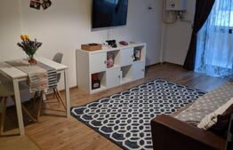 Apartament de 2 camere, 50 mp, zona Lunca Cetatuii - Visoianu