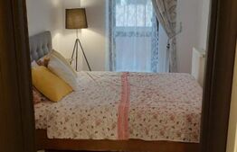 Apartament de 2 camere, 50 mp, zona Lunca Cetatuii - Visoianu