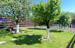 Casa, 4 camere +Dining+Demisol, 174mp utili , zona Valea Lupului cu 740 mp teren