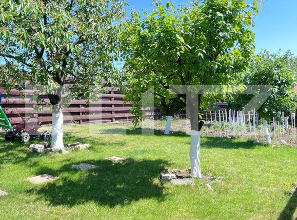 Casa de vânzare 4 camere Vest - 139987CV | BLITZ Iași | Poza6