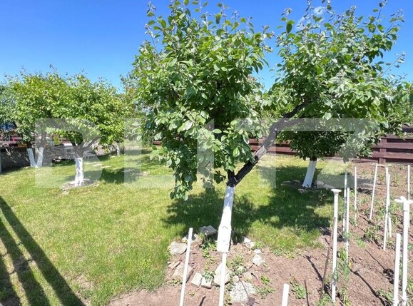 Casa de vânzare 4 camere Vest - 139987CV | BLITZ Iași | Poza5