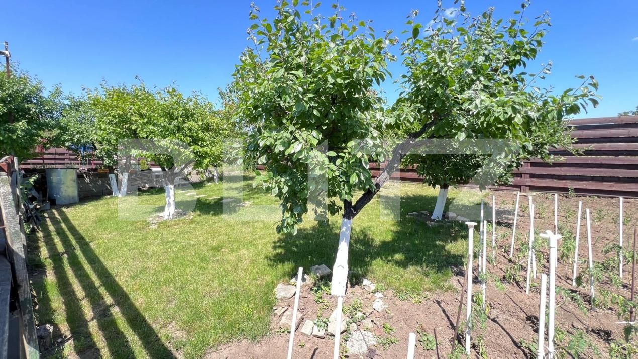 Casa de vânzare 4 camere Vest - 139987CV | BLITZ Iași | Poza5