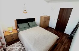 Apartament de 3 camere, 54 mp, zona Valea Lupului