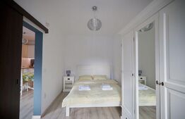 Apartament de 2 camere, 45 mp, zona Hala Centrala