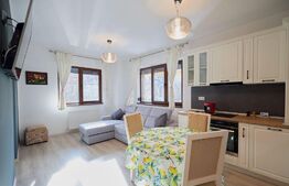 Apartament de 2 camere, 45 mp, zona Hala Centrala