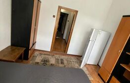 Apartament de 1 camera, 20 mp, zona Zimbru