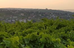 Teren intravilan, 1600mp, Vișan Iași