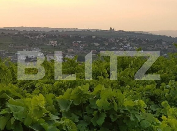 Teren de vânzare Visan - 140745TV | BLITZ Iași | Poza1
