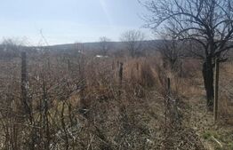 Teren 3000 mp, 15 km de Iasi, central Osoi