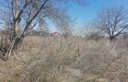 Teren 3000 mp, 15 km de Iasi, central Osoi