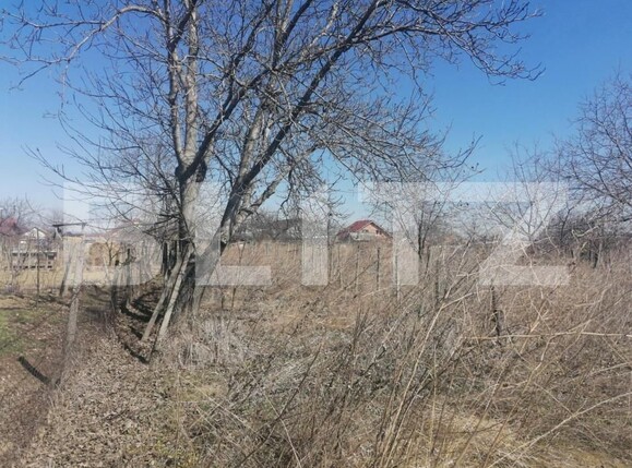 Teren de vânzare Est - 141104TV | BLITZ Iași | Poza3