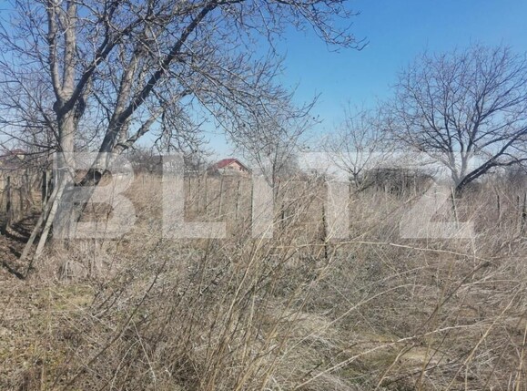 Teren de vânzare Est - 141104TV | BLITZ Iași | Poza4