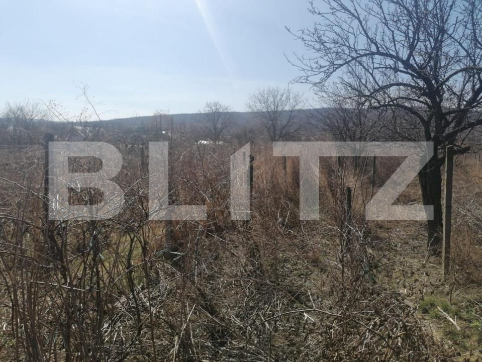 Teren de vânzare Est - 141104TV | BLITZ Iași | Poza5