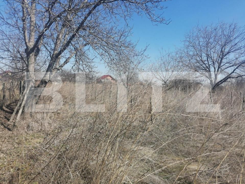 Teren de vânzare Est - 141104TV | BLITZ Iași | Poza4