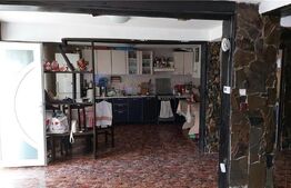 Casa tip duplex, 180 mp, zona Cantemir