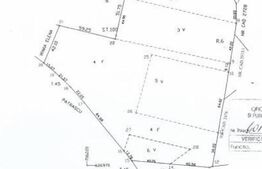 Teren intravilan de 3,6 ha, Tomesti