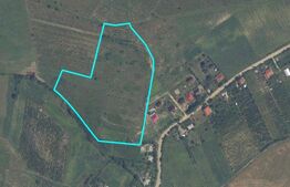 Teren intravilan de 3,6 ha, Tomesti