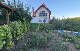 Casa 4 camere, 140 mp, 1000 mp teren, Visani