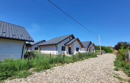 Casa 3 camere, 72 mp utili, 320 mp teren zona Visan - Barnova 