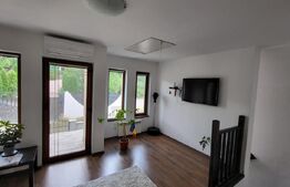 Proprietate cu 2 case in aceeasi curte, 600 mp, zona Visan