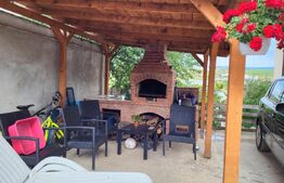 Proprietate cu 2 case in aceeasi curte, 600 mp, zona Visan