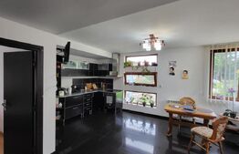 Proprietate cu 2 case in aceeasi curte, 600 mp, zona Visan