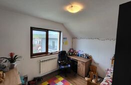 Proprietate cu 2 case in aceeasi curte, 600 mp, zona Visan