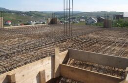 Proprietate cu 2 case in aceeasi curte, 600 mp, zona Visan