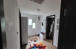 Proprietate cu 2 case in aceeasi curte, 600 mp, zona Visan