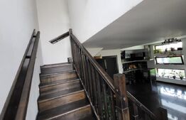 Proprietate cu 2 case in aceeasi curte, 600 mp, zona Visan