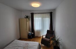 Proprietate cu 2 case in aceeasi curte, 600 mp, zona Visan