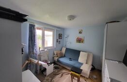 Proprietate cu 2 case in aceeasi curte, 600 mp, zona Visan