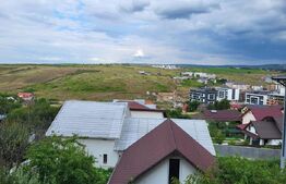 Proprietate cu 2 case in aceeasi curte, 600 mp, zona Visan