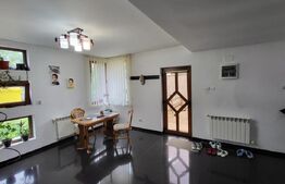 Proprietate cu 2 case in aceeasi curte, 600 mp, zona Visan