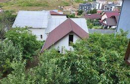 Proprietate cu 2 case in aceeasi curte, 600 mp, zona Visan