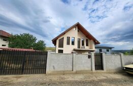 Proprietate cu 2 case in aceeasi curte, 600 mp, zona Visan